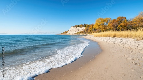 A beautiful beach with a large body of water in the background. The water is calm and the sky is clear. The beach is lined with trees and the sand is dry. The scene is peaceful and serene