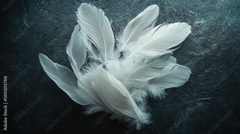 Naklejka premium Cluster of white feathers softly arranged on a dark surface, showcasing their delicate and airy qualities