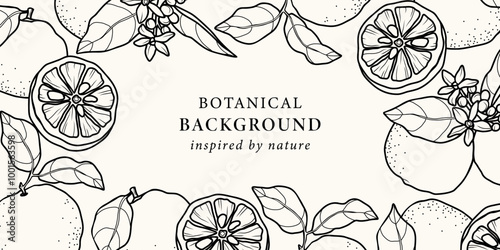 Line art yuzu fruit branches background