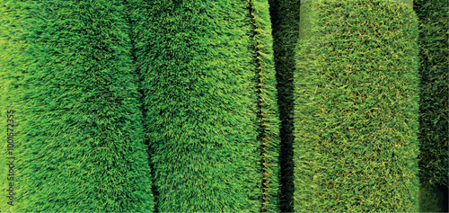 Roll of green lawn. Green grass in rolls in a hardware store. Artificial lawn carpet in a roll, artificial grass. Design, material, interior design. Materials for the garden.