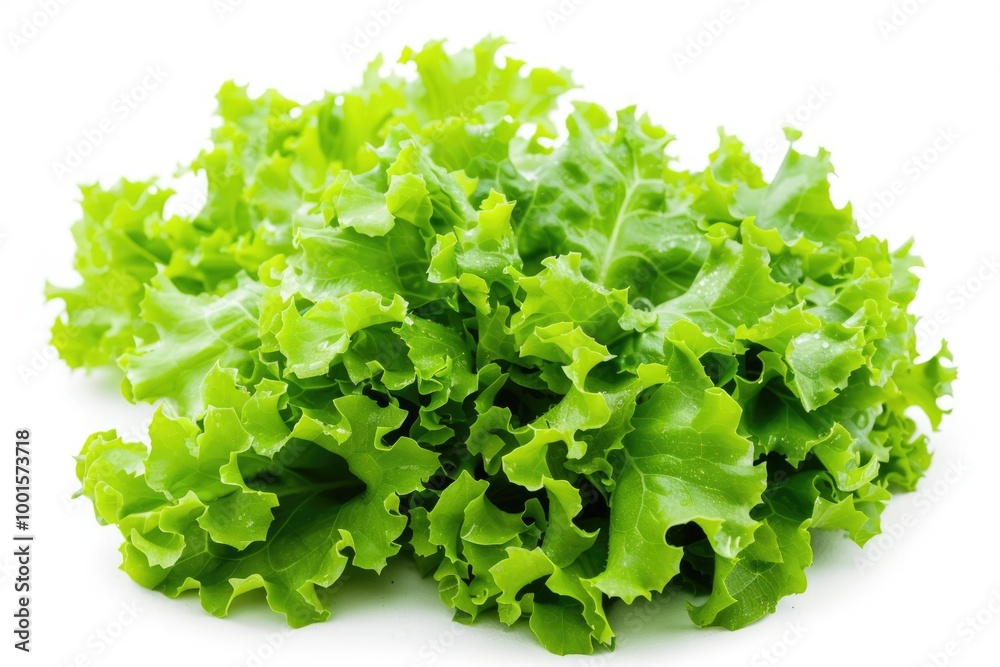 Fresh green lettuce leaves sit atop a clean white surface Fresh green lettuce leaves sit atop a clean white surface