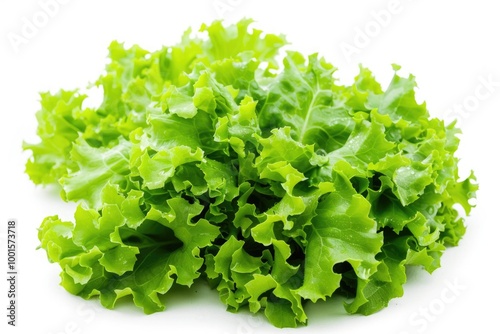 Fresh green lettuce leaves sit atop a clean white surface