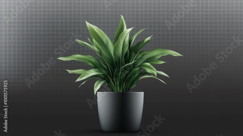 Stylish potted plant with contemporary design, isolated on a transparent background, perfect for marketing and advertising photo