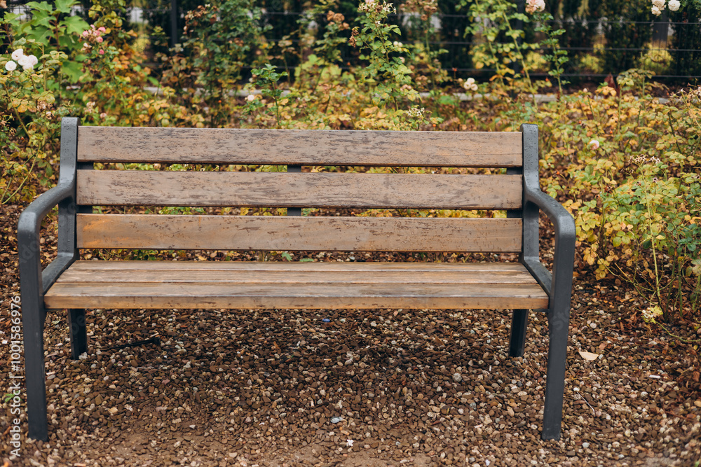 A modern wooden bench with trash bin standing in the park. Comfortable bench in recreation area. City improvement, urban planning, public spaces. A modern wooden bench with trash bin standing in the park. Comfortable bench in recreation area. City improvement, urban planning, public spaces.