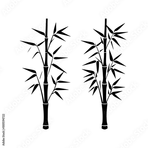 bamboo isolated on white
