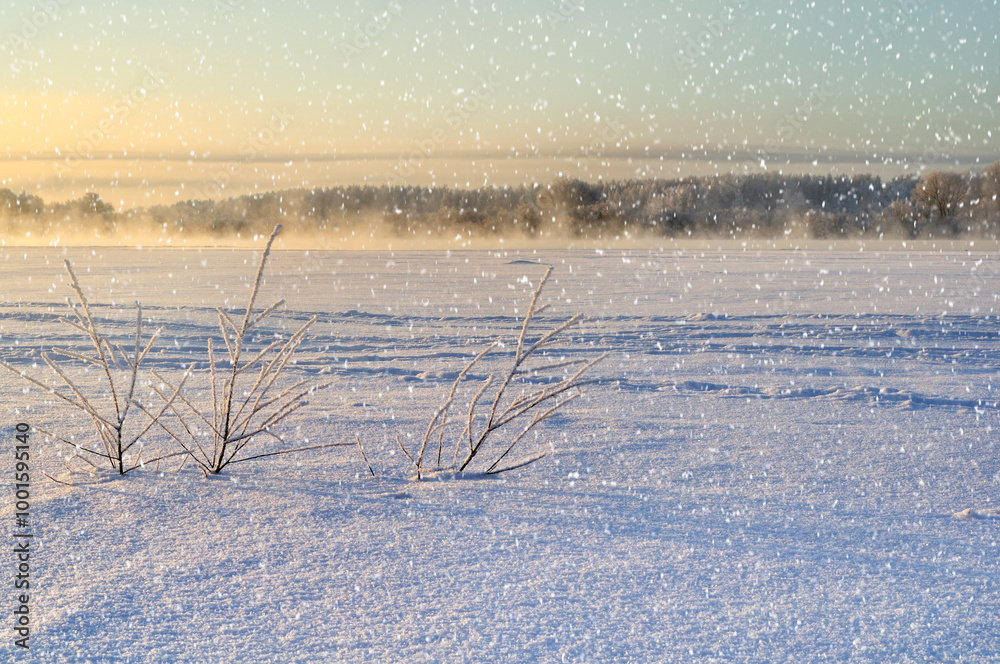 Winter landscape with the frozen river and snowfall at the sunset - focus at the frozen plants at the foreground, winter landscape Winter landscape with the frozen river and snowfall at the sunset - focus at the frozen plants at the foreground, winter landscape
