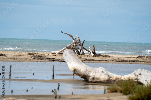 27.09.2024: Der Strand Plage du Piémanson Regionaler Naturpark Camargue, Provence-Alpes-Côte d’Azur, Frankreich photo