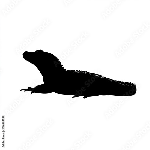 Alligator Silhouette, Illus...