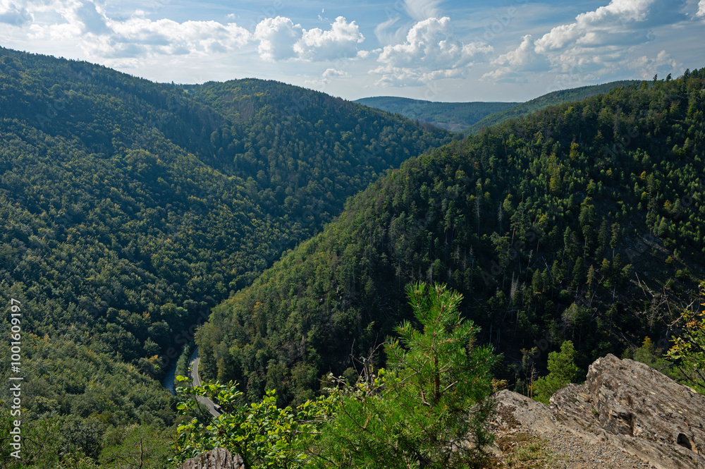 Naklejka premium view over the thuringian forest and the river Schwarza valley near Bad Blankenburg