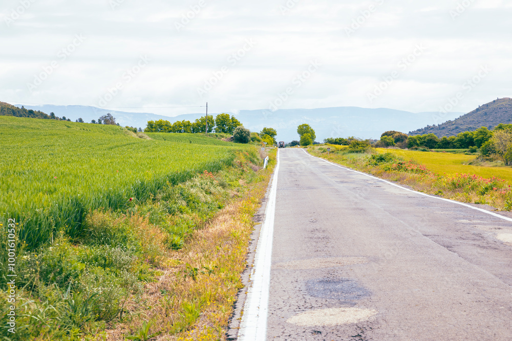 A-125 paved road near Piedramorrera, comarca of Hoya de Huesca, municipality of Biscarrues, province of Huesca, Aragon, Spain A-125 paved road near Piedramorrera, comarca of Hoya de Huesca, municipality of Biscarrues, province of Huesca, Aragon, Spain
