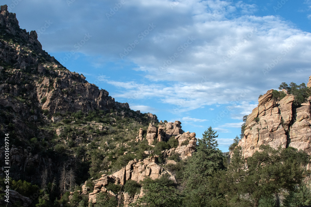 Fototapeta premium Forest mountain scenery