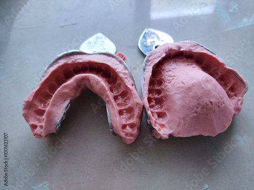 selective focus picture of the alginate impression of the dental arch in dentistry 