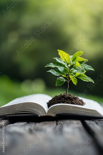 A small green plant grows from an open book on a wooden surface in a serene o...