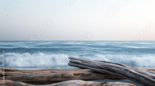 Driftwood on a foggy beach, crashing waves, 3D illustration