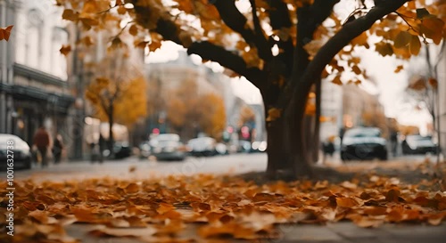 Wallpaper Mural autumn in the park Torontodigital.ca