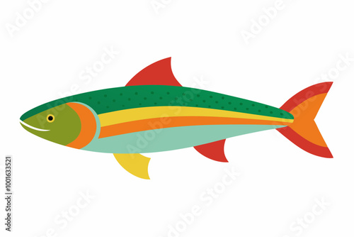 Vector illustration of rainbow trout fish on a white background
