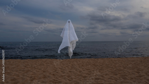 ghost floating on the shore of the beach where there are no people, floating white savannah, ghost with black eyes on a horizontal seabed, gray environment