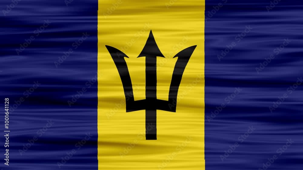 video of the national flag flying barbados