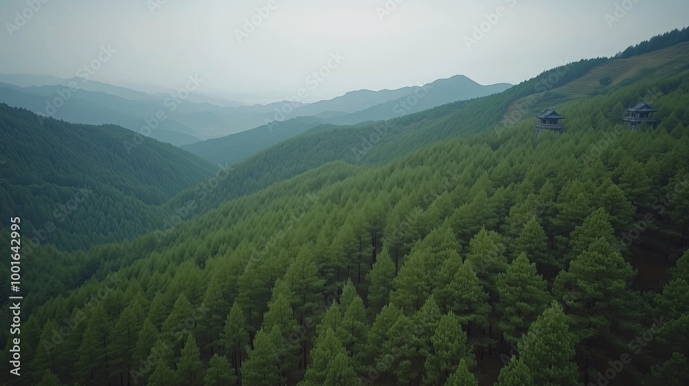 Fototapeta premium morning in the mountains