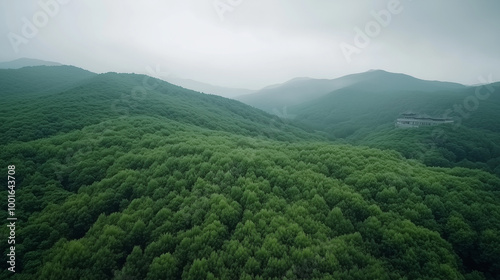 morning in the mountains