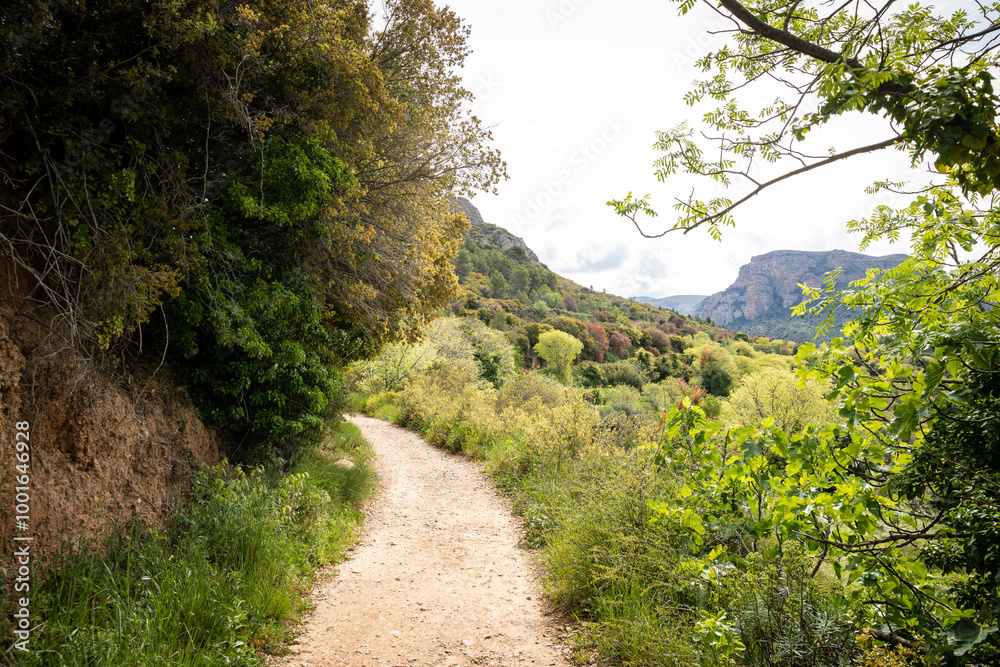Camino Natural de la Hoya de Huesca - a path leaving Riglos on the way to Mallos de Riglos, comarca of Hoya de Huesca, province of Huesca, Aragon, Spain Camino Natural de la Hoya de Huesca - a path leaving Riglos on the way to Mallos de Riglos, comarca of Hoya de Huesca, province of Huesca, Aragon, Spain