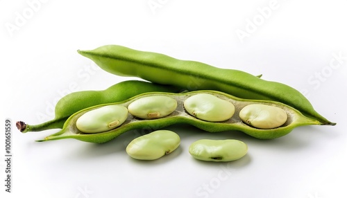 Wallpaper Mural lima bean - Phaseolus lunatus - also known as butter, sieva, double or Madagascar bean, is a legume grown for its edible seeds. A good source of dietary fiber and fat free source. Isolated on white Torontodigital.ca