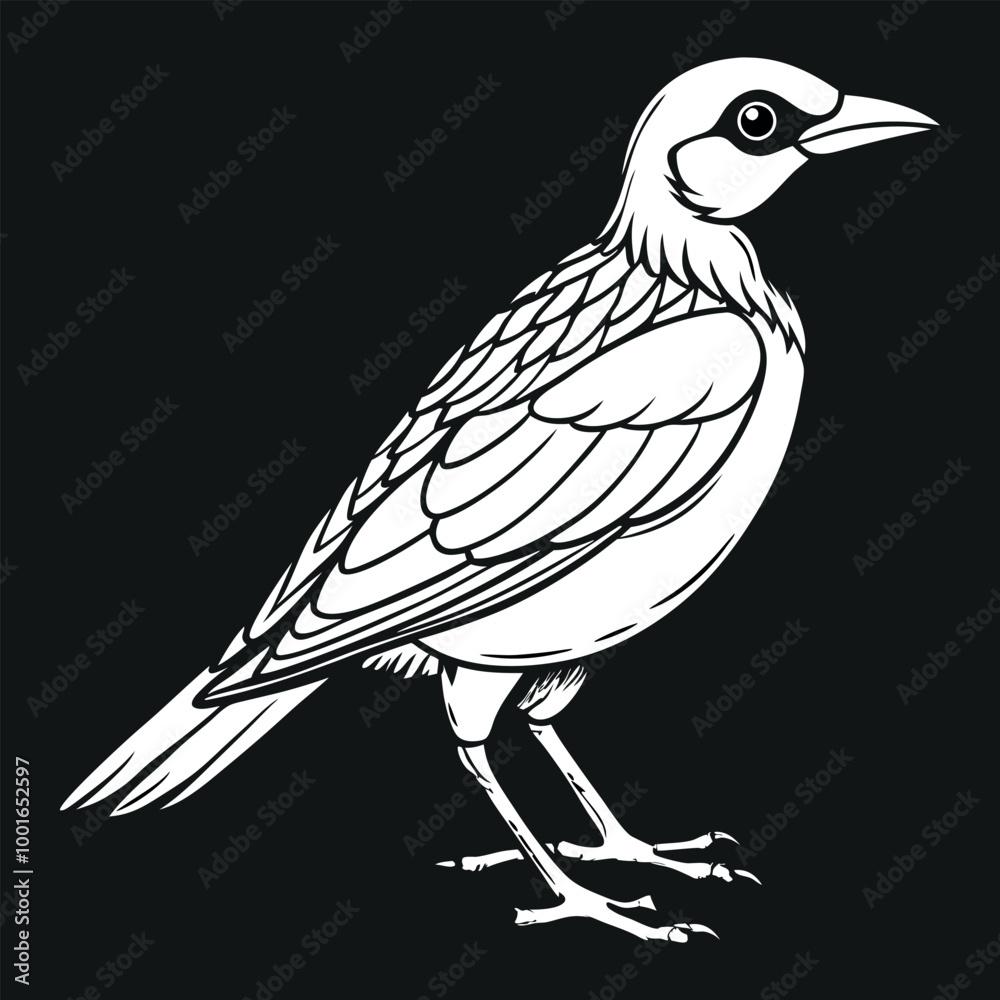 Fototapeta premium Talking bird pencil art vector image illustration and artwork