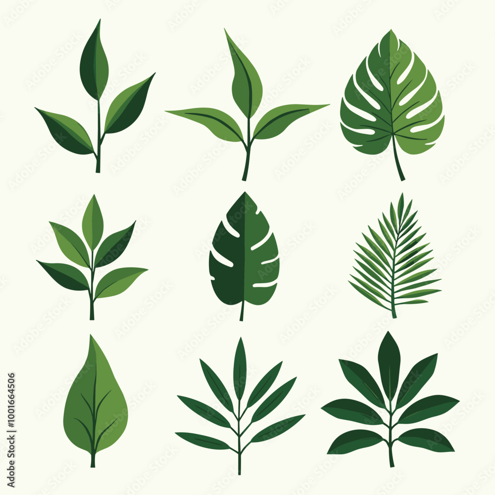 A collection of various green leaf illustrations against a light background. A collection of various green leaf illustrations against a light background.
