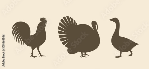 Poultry silhouette. Isolated  poultry on vintage  background