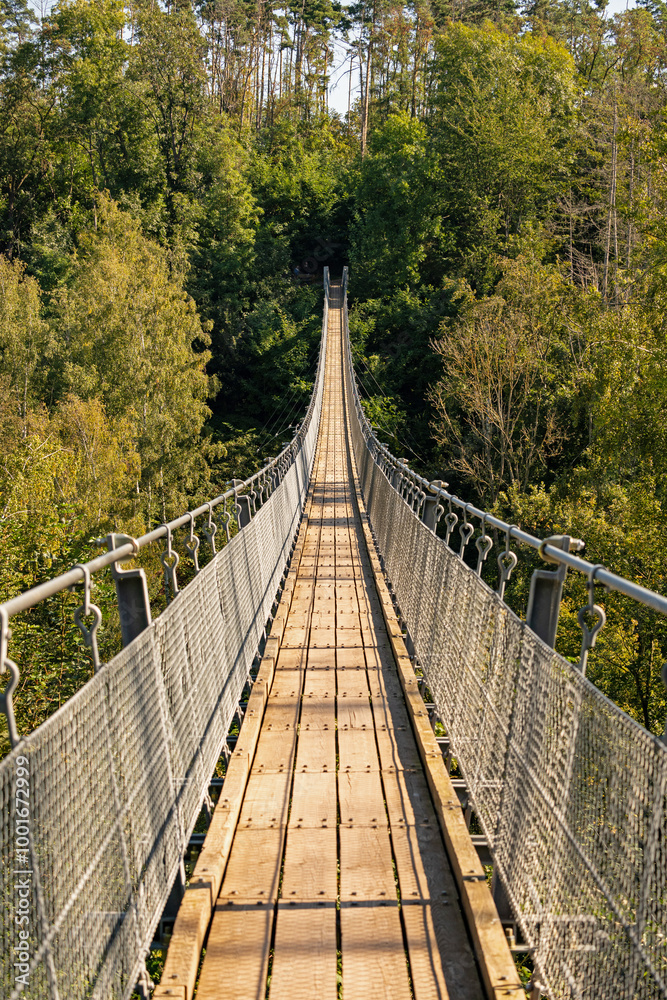 Obraz premium Hohe Schrecke suspension rope bridge near Braunslage in Thuringia