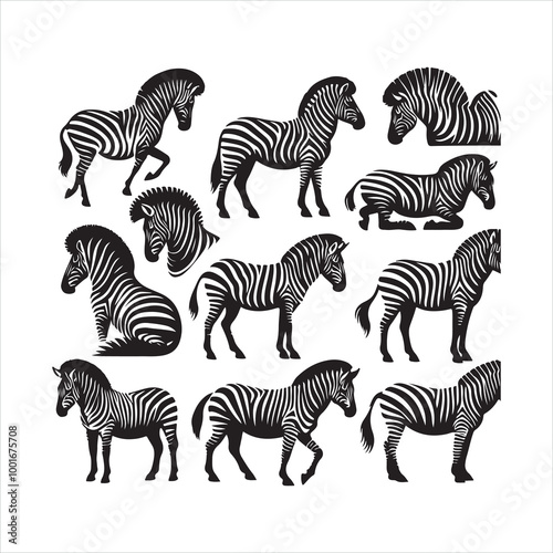 Stylized Zebra silhouette on white background
