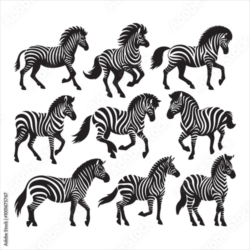 Stylized Zebra silhouette on white background
