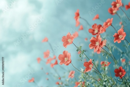 Beautiful Red Flowers Against Blue Sky Background