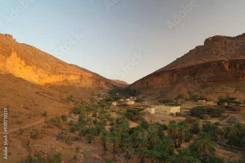 Exploring the oasis of Terjit in Mauritania at sunset amidst the dramatic mountain landscape photo