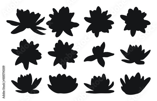 Water lily, nenuphar, spatter dock, plant buds silhouette