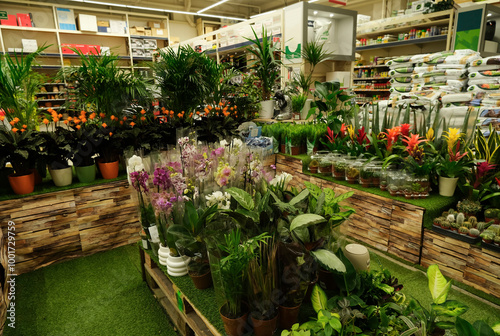 Indoor plants, flowers in pots on sale display in large European hardware store selective focus on foreground plants photo