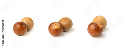 Wallpaper Mural Hass Avocado Stones Isolated, Avocado Core Seeds Closeup, Alligator Pear Kernels, Persea Americana Pits Torontodigital.ca