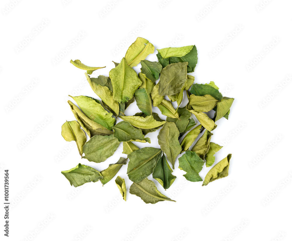 Thai lime dried leaves isolated, makrut lime or Citrus hystrix leaf pile, kaffir lime dry sprouts, Asia spices Thai lime dried leaves isolated, makrut lime or Citrus hystrix leaf pile, kaffir lime dry sprouts, Asia spices
