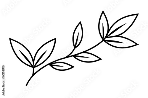 Floral branch and minimalist leaves for logo or tattoo. Hand drawn line wedding herb, elegant wildflowers. Minimal line art drawing for print, cover or wallpaper