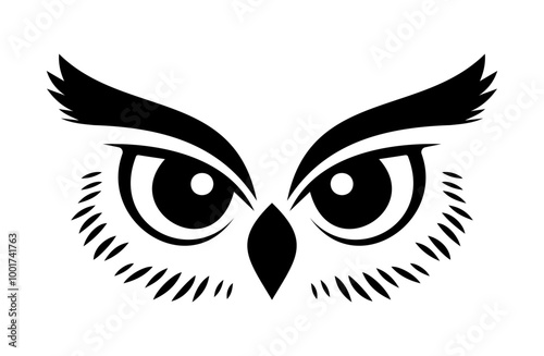 Stylized black and white owl eyes with detailed feathers, showcasing a captivating design suitable for various creative projects