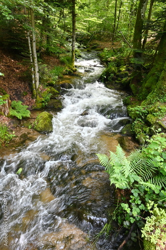 Wiedenbach im Buehletal photo