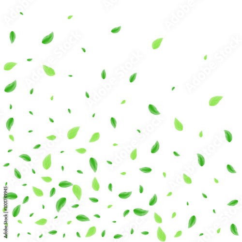 Greenish Foliage Background White Vector. Vegetation Clean Card. Mint Frame. Light Green Abstract Design. Greenery Environmental.