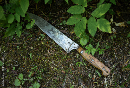 Φωτογραφία A large table knife is lying on the ground