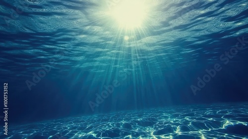 Underwater view with sunlight shining through the surface.