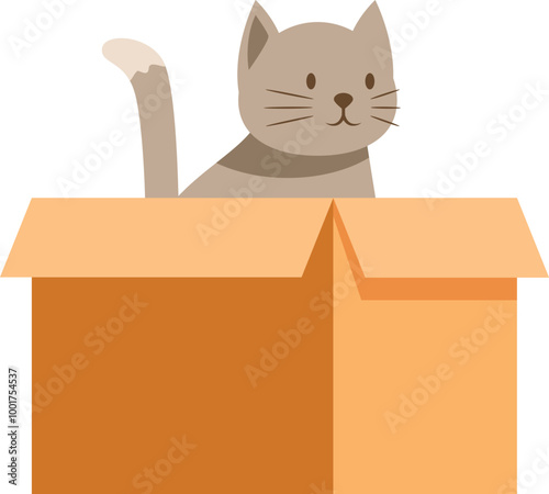 Adorable grey tabby cat sitting inside a cardboard box, isolated on white background