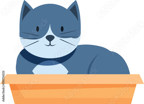 Blue cat is resting in a cardboard box