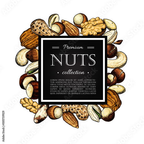 Nuts and seeds frame template Vector illustration. Hand-drawn food mix.
