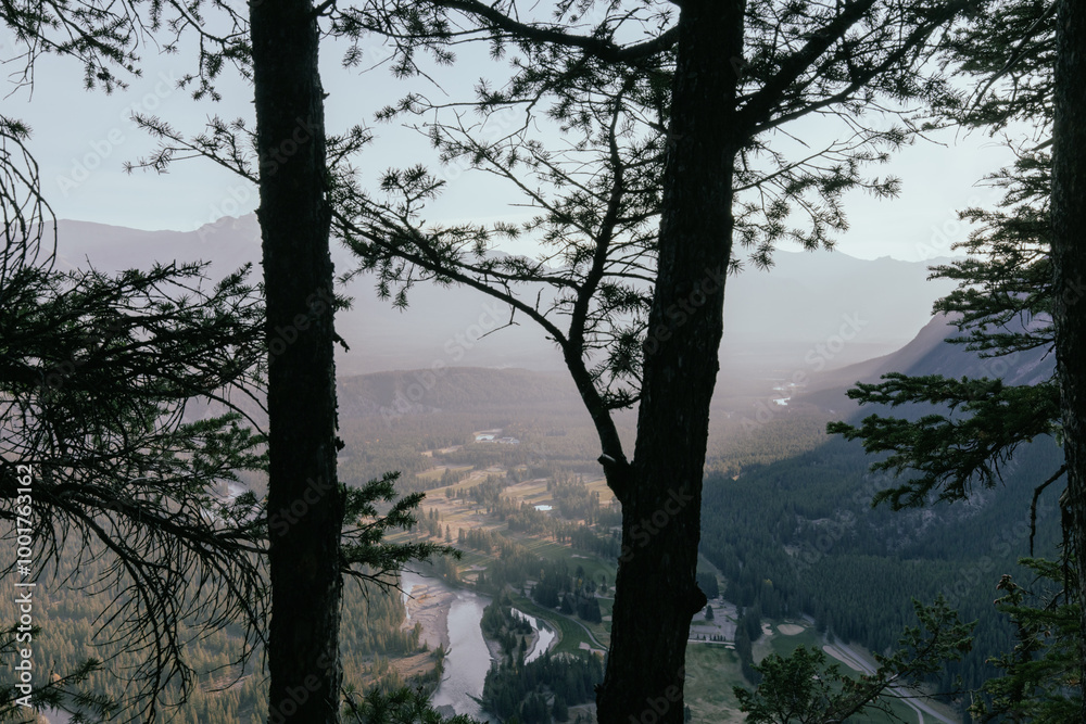 view of a valley from a high point of view behind two tall silhouette of trees in summer with smoke in the air view of a valley from a high point of view behind two tall silhouette of trees in summer with smoke in the air
