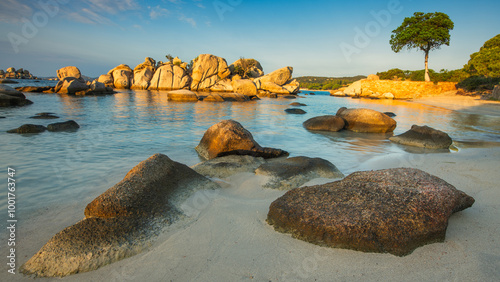 Fototapeta Naklejka Na Ścianę i Meble -  Famous Palombaggia beach with azure clear water and sandy beach of Corsica, France - Travel and art concept.