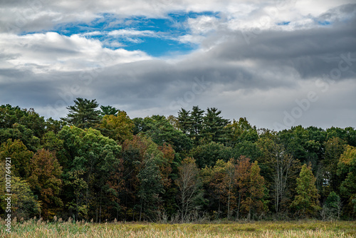 Autumn Forest and Clouds